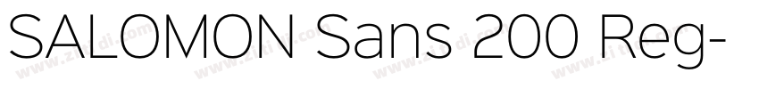 SALOMON Sans 200 Reg字体转换 SALOMON Sans 200 Reg字体转换